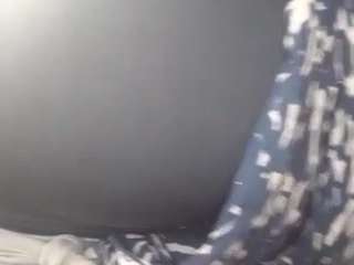 virgovixengal