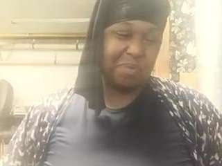 virgovixengal