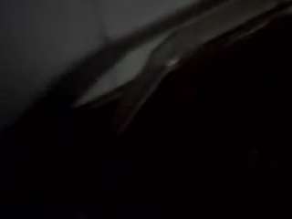 virgovixengal