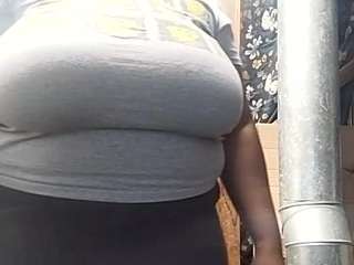 virgovixengal