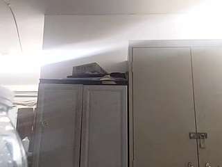 virgovixengal