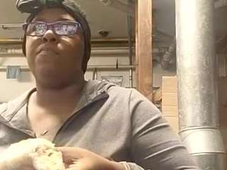 virgovixengal