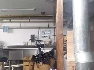 virgovixengal
