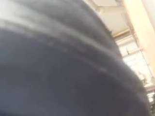 virgovixengal
