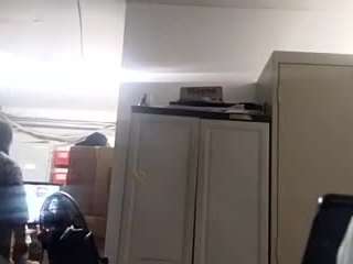 virgovixengal