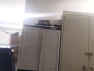 virgovixengal