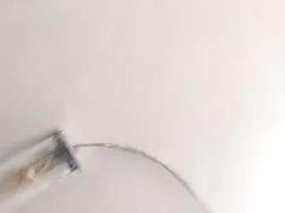 virgovixengal