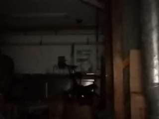 virgovixengal