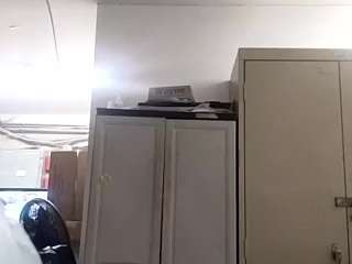 virgovixengal