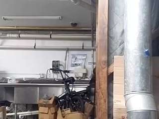 virgovixengal