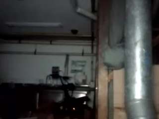 virgovixengal