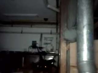 virgovixengal