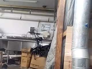 virgovixengal