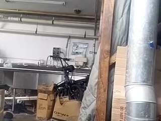 virgovixengal
