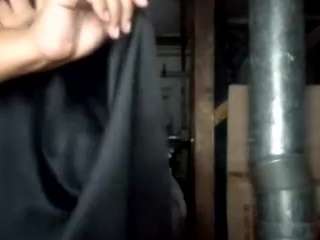 virgovixengal