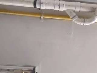 virgovixengal live webcam show