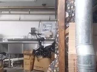 virgovixengal