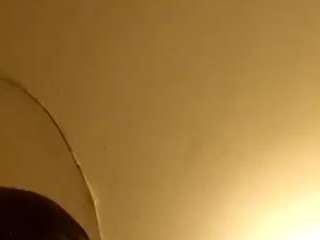 virgovixengal