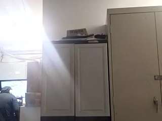 virgovixengal