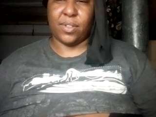 virgovixengal