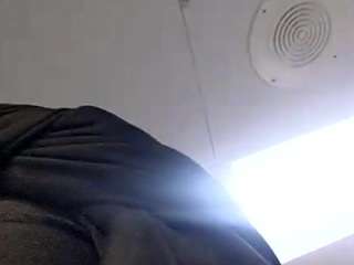 virgovixengal