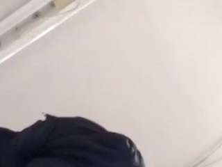 virgovixengal