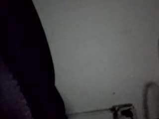 virgovixengal