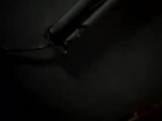 virgovixengal