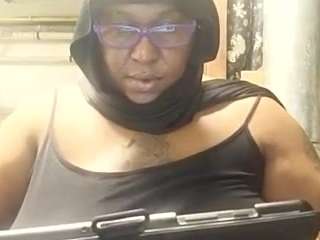 virgovixengal