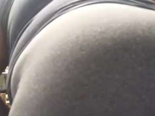 virgovixengal