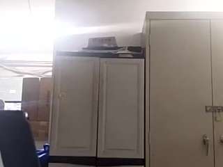 virgovixengal