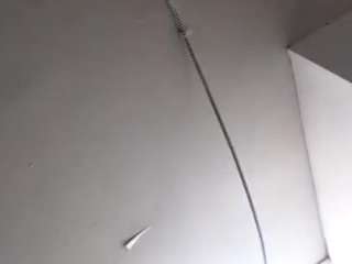 virgovixengal