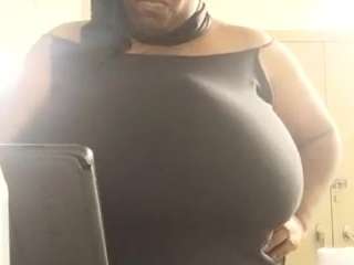 virgovixengal