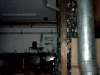 virgovixengal