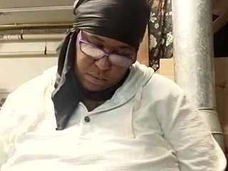 virgovixengal