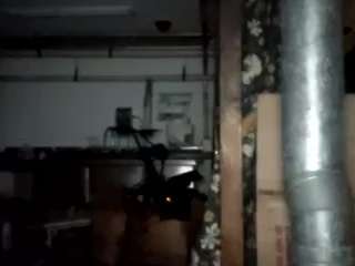 virgovixengal