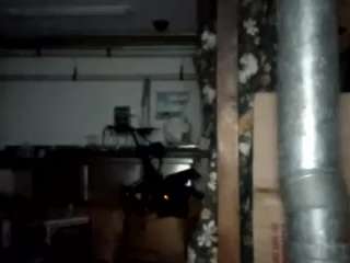 virgovixengal