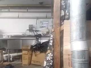 virgovixengal