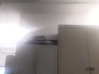virgovixengal