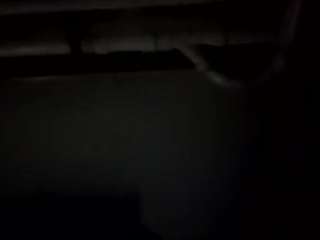 virgovixengal
