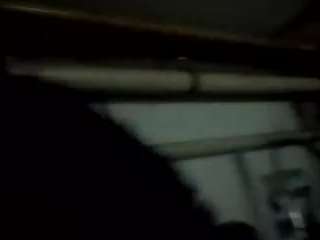 virgovixengal