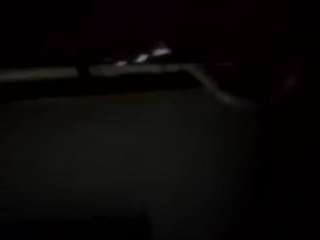 virgovixengal