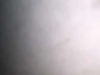 virgovixengal