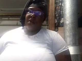 virgovixengal