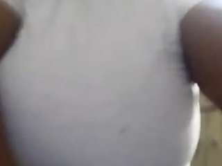 virgovixengal