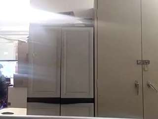 virgovixengal