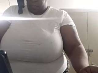 virgovixengal