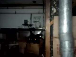 virgovixengal