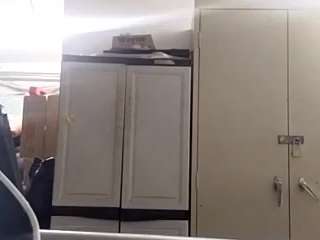 virgovixengal