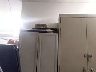 virgovixengal